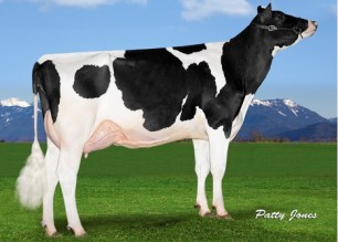 Cederwal_cowsmoweb_Jolicap Mogul Whisky