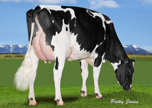 EDG Claire Mogul Caron Rear 3-4-web500